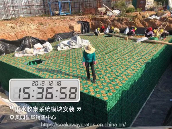 Best Rainwater Collection System photo-5
