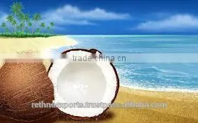 Semi Husked Coconut photo-6