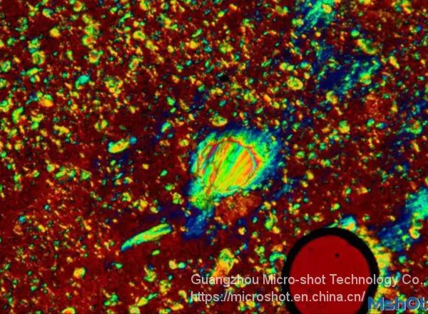 Professional Polarizing Microscope MP41 photo-2