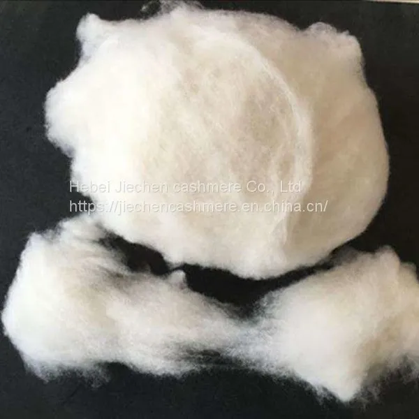 China White Cashmere Micron 15.8 32/34 mm Washed Cashmere Not Carded