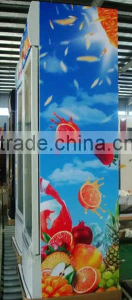 Display Fridge Refrigerators Display Drink Visi Cooler photo-4