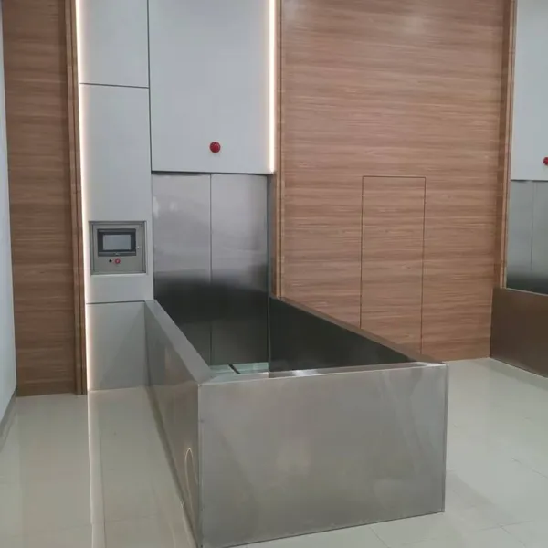 Electric Human Cremation Equipment for Sale Latest Model of Cremation System photo-5