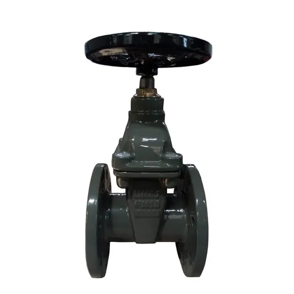 BS Ductile Iron Cast Iron Rising Stem Resilient Seat Gate Valve for Industrial Water Gas and Oil Control photo-4