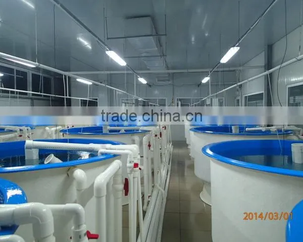 Large Fiberglass Aquaponics Tank for Sale