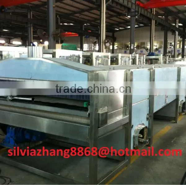 Automatic Continuous Can /bottle Spray Sterilizer