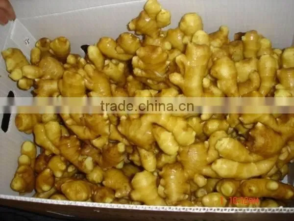 2016 New Crop Linyi Origin Air Dried Ginger photo-2