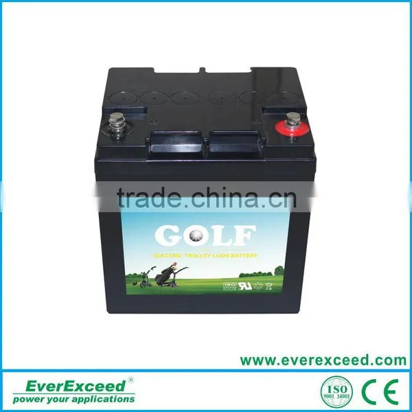 EverExceed High Quality Golf Cart Lithium Battery for Golf Cart photo-2