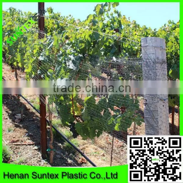 Supply High Quality Orchard Anti Bird Net/nylon Anti Bird Net/vineyard Anti Bird Net photo-4