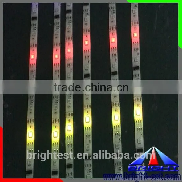 Factory Direct Led Strip WS2801 Waterproof IP65,Digital Led Strip 5050 DC12 photo-3