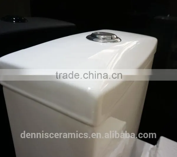Dennis 2066 One-Piece White and Ivory Color Toilet photo-6