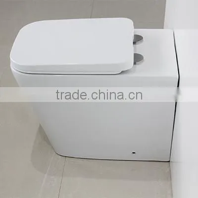 Watermark Australian Bathroom Ceramic Floor Toilet Bowl With Concealed Cistern 2051B photo-3