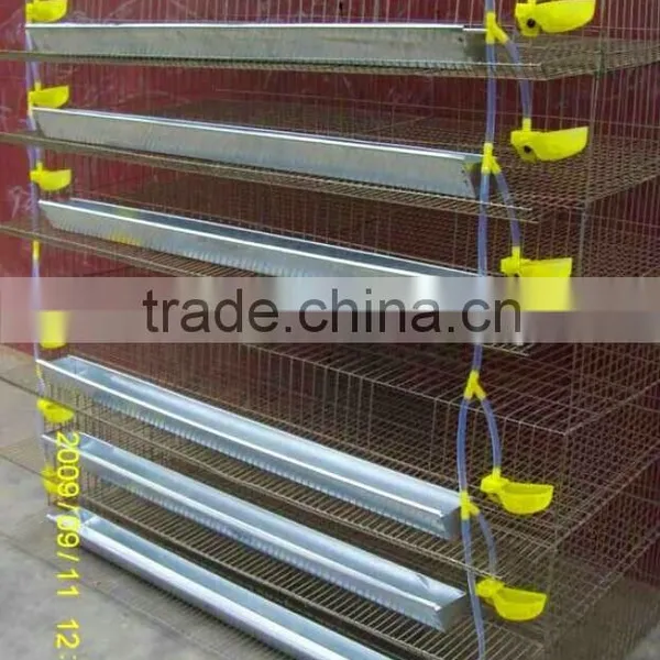 Poultry Battery Cages Waterer Equiped For Quail Rearing photo-3