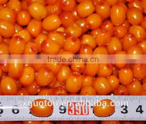 100% Nature Wild Frozen Seabuckthorn Fruit photo-2