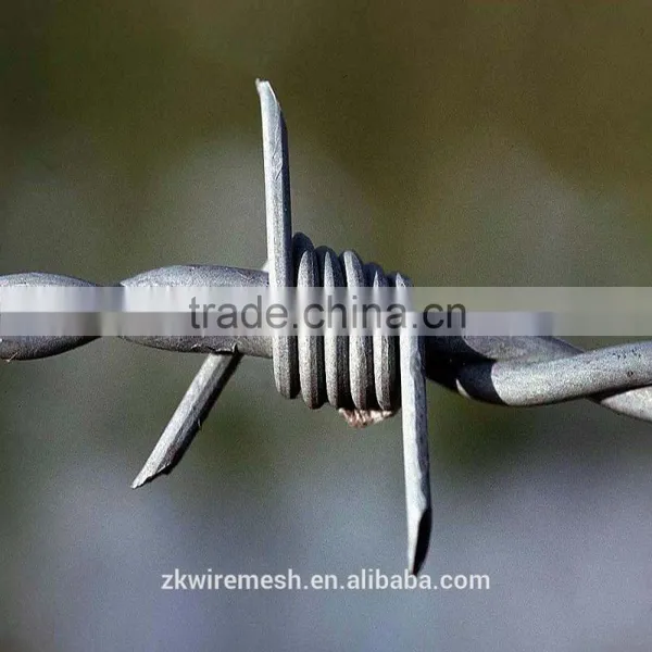 China Supplier Hot-dipped Galvanized Barbed Wire photo-5
