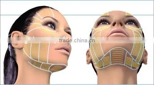 China Made Facial Lifting Expression Lines Removal Hifu Fu4.5-2s Machine 4MHZ photo-5