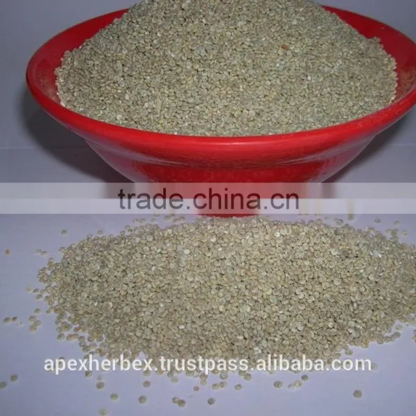 Quinoa Grain / Chenopodium Quinoa / Quinoa Grain /Quinoa Bulk Grain photo-6