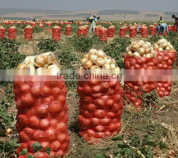 Fresh Red Onions Fresh Yellow Onions Turkish Onions