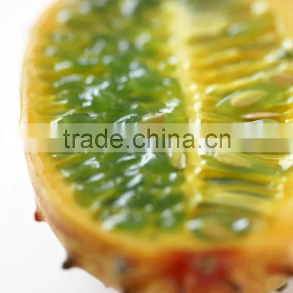 Hedged Gourd Melano Kewana Cucumis Metuliferus Seeds photo-2
