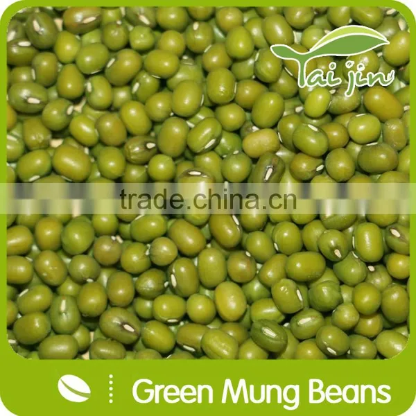 2015 New Crop Food Grade Green Mung Bean From China photo-6
