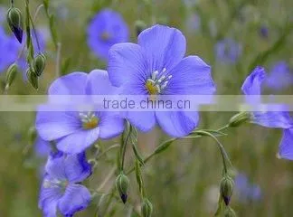 Rich in DHA&EPA Flax Seed Oil (ALA:35-65%) With FDA&KOSHER photo-3