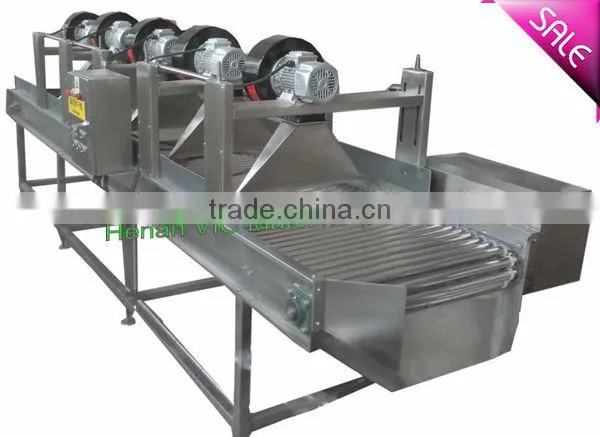 Vegetable Drying Machine for sales