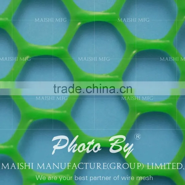 Grass Reinforcement Plastic Net photo-2