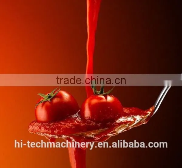 Hibar Pump Driver Packing Machine Made By SS304 photo-2