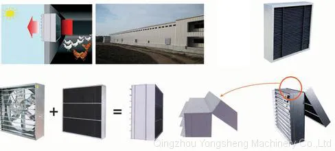 Light Filter Poultry Farm photo-3