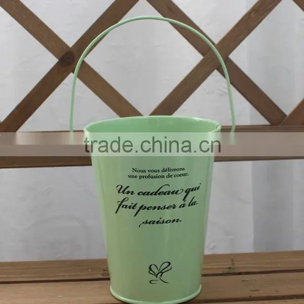 Antirust Small House/Garden Decoration Metal Flower Pot Bucket photo-2