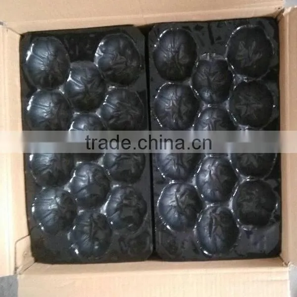 Food Grade Recycle PP Plastic Tomato Packing Tray Liners photo-4