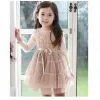 C55 2013 Guangzhou New Fashion Qualitied Children Kids Hot Designer Dress Princess Baby Dress