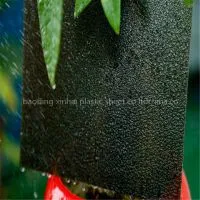 XINHAI UV Resistant PC Diamond Polycarbonate Embossed Sheet photo-3