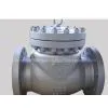 ANSI Check Valve