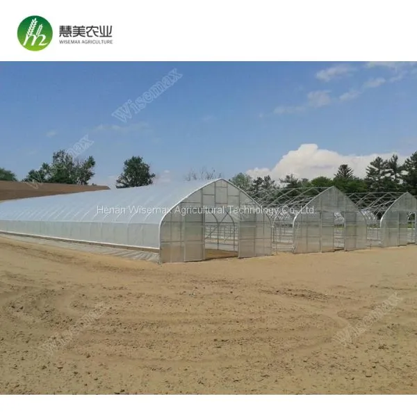Simple Galvanized Steel Frame Single Span Polyethylene Film Greenhouse For Sale photo-2