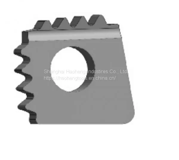 API Oil Tubing Buttress Threading Inserts