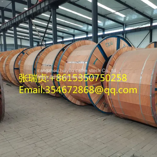 Power Cable Control Cable Rubber Cable Pvc Cable Xlpe Cable Fire Cable AAAC Cable ACSR photo-5