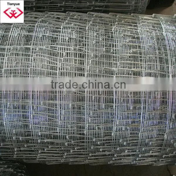 Hot Sale Grassland Fence photo-4