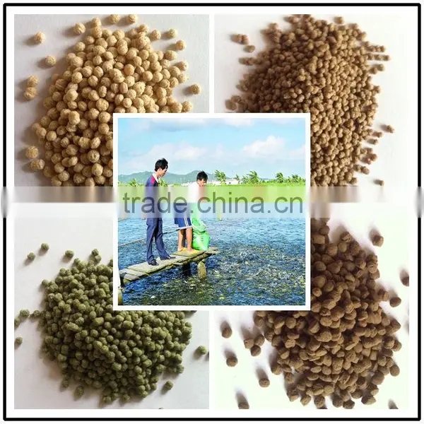 New Product Floating Fish Food Pellet Production Line photo-3