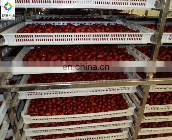 Date Syrup Production Line/ Date Paste Processing Machine / Date Honey Making Machine photo-4