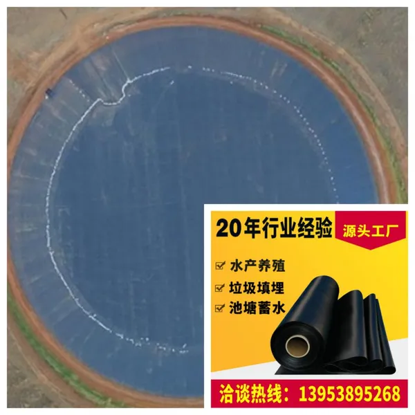 2mm Thick HDPE Geomembrane for Anti-seepage Inner Lining of Sewage Treatment Sedimentation Tank in Large-scale Government Projects