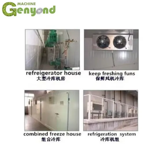 Cold Storage Room Copeland/bristol Compressor 100mm Panel Thickness New & Used for Farm Hotels & Restaurants photo-3
