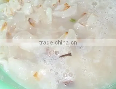 Litchi (longan) Crusher Separator photo-5