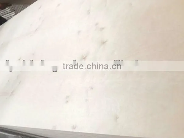 5MM C2 White Birch Plywood photo-3