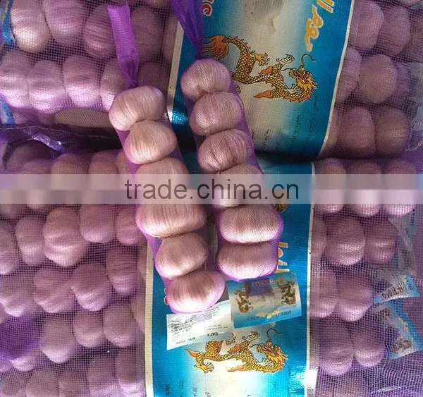 2016 Fresh White Garlic 5.0cm 3p 5p 4p