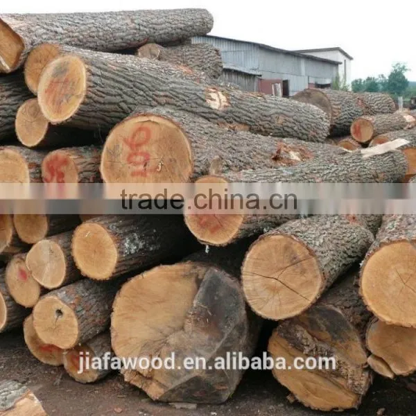 White Birch Logs, Baltic Birch Logs, Latvia Birch Logs Quality Choice photo-5