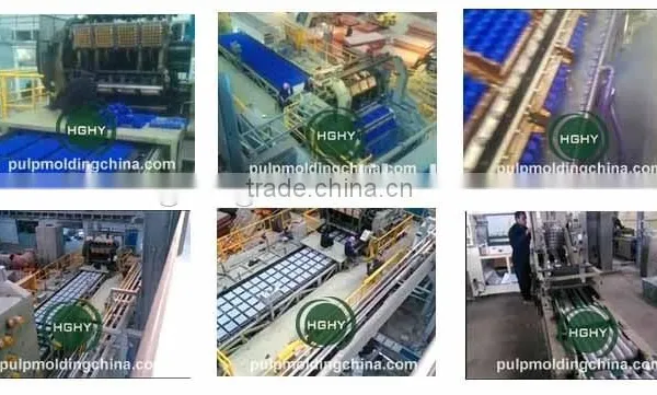 Fully Automatic Bagasse Lunch Box Tableware Machine Production Line by Manufacturer HGHY photo-5