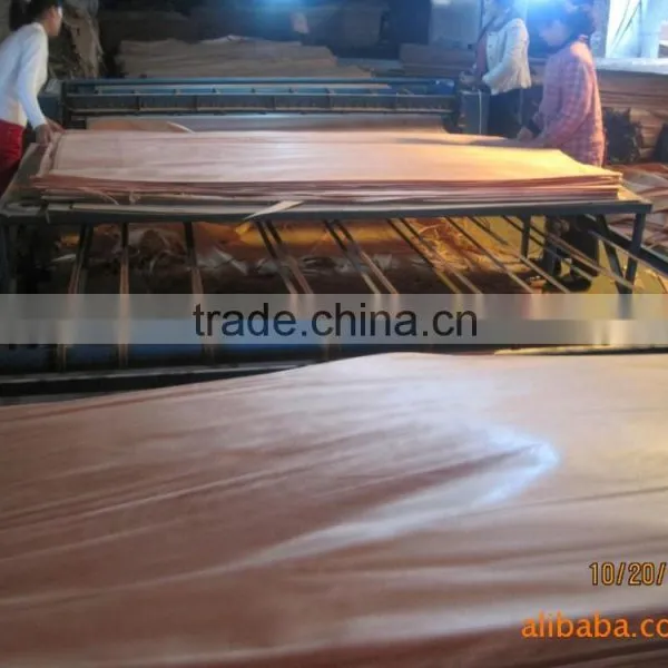 Plywood Face Veneer Manufacturers/wood Veneer Face for Plywood/okoume Veneer photo-2