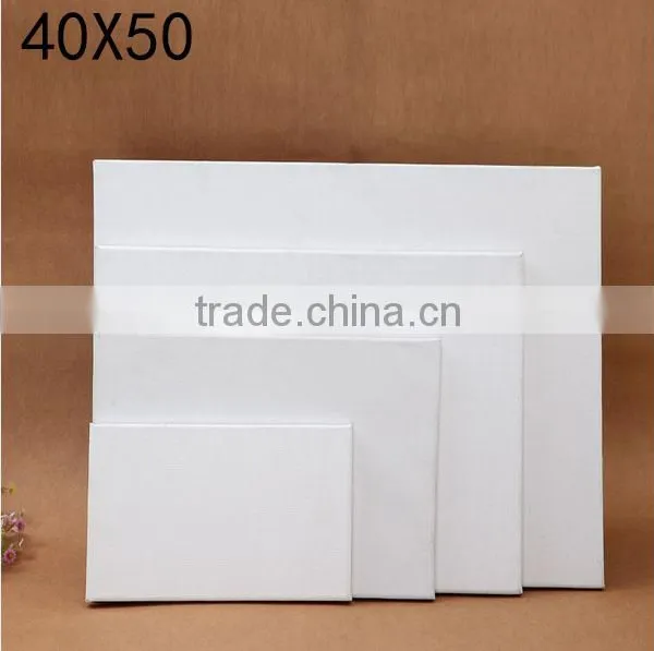 BPK101 Blank Stretched Cotton Canvas for You to Paint Painting