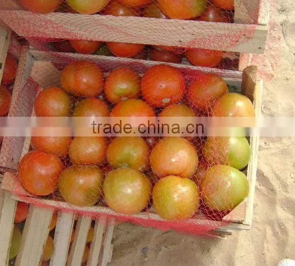 Fresh Tomato photo-4