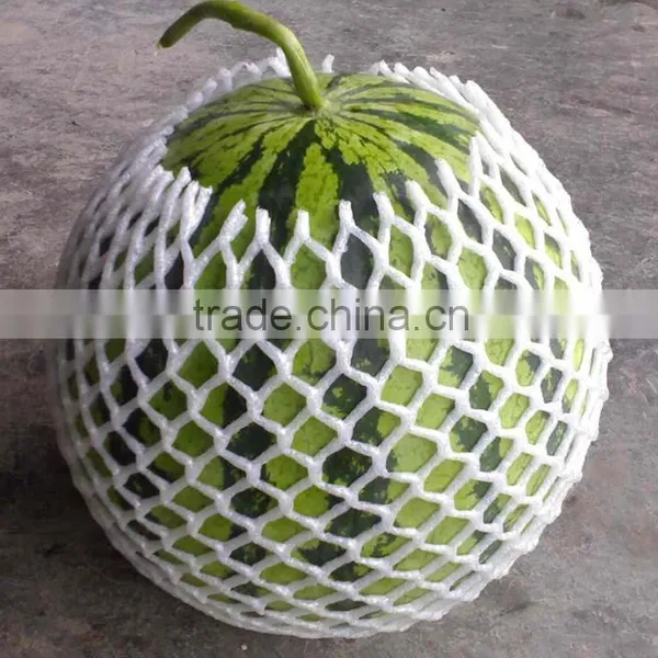 EPE Fruit Foam Net in Different Type photo-4